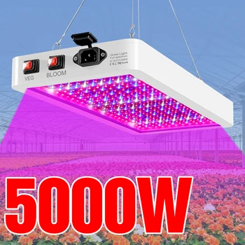 5000 Вт Квантовая Доска LED Grow Light Фито Лампа Полного Спектра Светодиодные Лампы Для Растений В Помещении 4000 Вт Фитолампа Для Рассады Цветов Fitolamp
