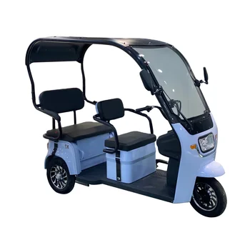 Новая Горячая Распродажа Аккумуляторная Батарея 3 Колеса для Взрослых Пассажирское Такси Электрический Трехколесный Велосипед Грузовой